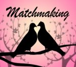 Matchmaking Doves Shows Set Up And Find Stock Photo