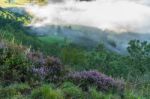 View From Surprise View Near Derwentwater Stock Photo