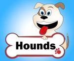 Hound Dog Represents Dogs Pet And Canine Stock Photo