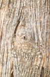 Classic Old Wooden Texture Background Stock Photo