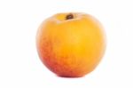 Peach On White Stock Photo