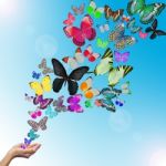 female Hand Releasing Butterflies Stock Photo