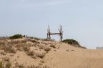 Sand Dune Vegetation Stock Photo