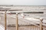 Three Seagulls Sitting On A Fence Stock Photo