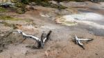 Artist Paint Pots In Yellowstone National Park Stock Photo