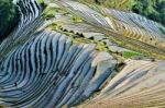 Sunrise On The Rice Fields In China Stock Photo