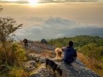 Young Man  Asia Tourist  At Mountain Is Watching Over The Misty Stock Photo