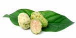 Exotic Fruit - Noni On White Stock Photo