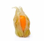 Cape Gooseberry Isolated On White Background Stock Photo