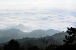 Landscape Of Cloud Above Cordillera In The Morning Stock Photo