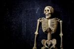 Human Skeleton Stock Photo