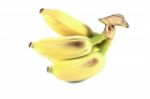 Banana Back Stock Photo