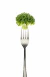 Broccoli On Fork Stock Photo