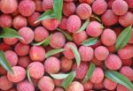 Lychees Stock Photo