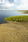 Natural Ria Formosa Marshlands Stock Photo