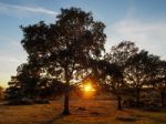 Sunset Over The Ashdown Forest In Sussex Stock Photo