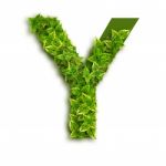 Letter Y With Leaves Stock Photo