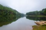 Nature Landscape At Dawn Of Lakes And Pine Forests Stock Photo