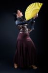 Young Flamenco Dancer In Beautiful Dress On Black Background Stock Photo