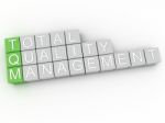 3d Image Tqm Total Quality Management  Issues Concept Word Cloud Stock Photo