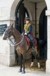 London - July 30 : Kings Troop Royal Horse Artillery In Whitehal Stock Photo