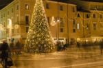 Busy Life Before Christmas Holidays Stock Photo