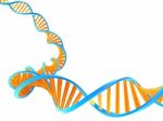 Dna Molecule Stock Photo