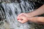 Female Hands Scoop Up Water Stock Photo