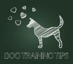 Dog Training Tips Shows Instruction Skills And Coaching Stock Photo