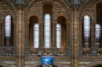 Interior View Of The Natural History Museum In London Stock Photo