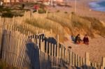 Sand Dunes Of Faro Beach Stock Photo