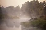 Foggy River In The Morning Stock Photo