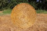 Stack Of Straw Stock Photo