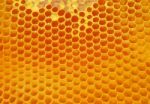 Honey Stock Photo