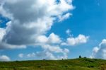 Trees And Mountains On A Bright Sky Stock Photo