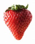 One Strawberry Stock Photo