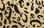 Leopard Skin Stock Photo