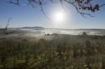 Morning Mist Stock Photo