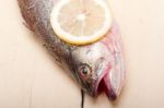 Fresh Whole Raw Fish Stock Photo