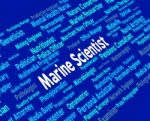 Marine Scientist Shows Hiring Naval And Oceanic Stock Photo