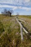 Rural Countryside Stock Photo