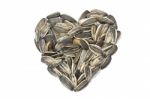 Sunflower Seed In Heart Shape Stock Photo