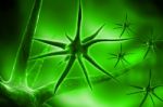 Neuron Stock Photo