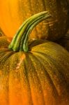 Pumpkin Or Pumpkin Sale Stock Photo