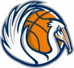 Pelican Wings Basketball Retro Stock Photo