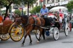 Marbella, Andalucia/spain - July 6 : Horse And Carriage In Marbe Stock Photo