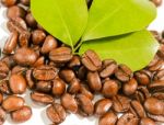 Coffee Beans Fresh Represents Tasty Delicious And Restaurant Stock Photo