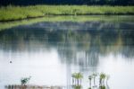 Beautiful Lake Background Stock Photo