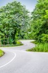 Snake Curved Road Stock Photo