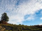 Scenic View Of The Ashdown Forest In Sussex Stock Photo